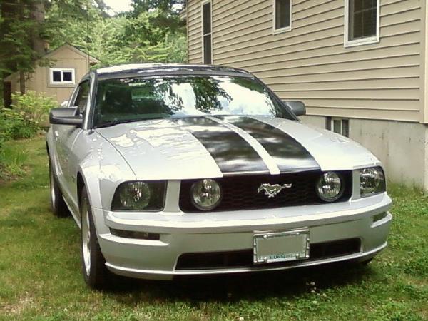 Stang