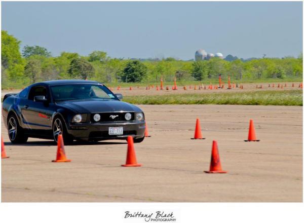 stang
