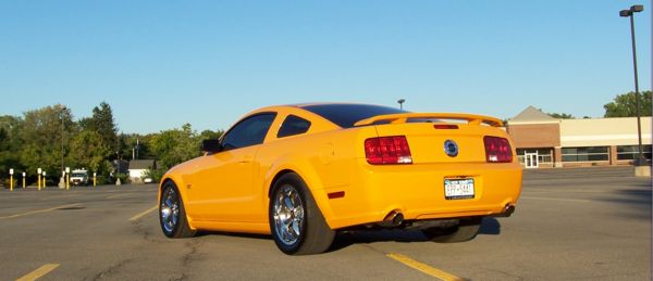 Stang2