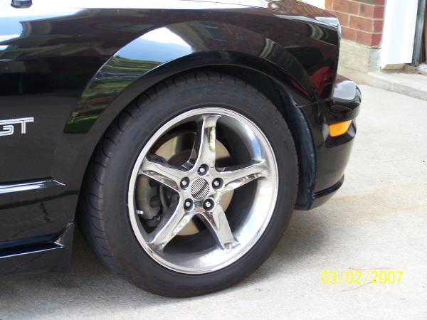 Steeda front