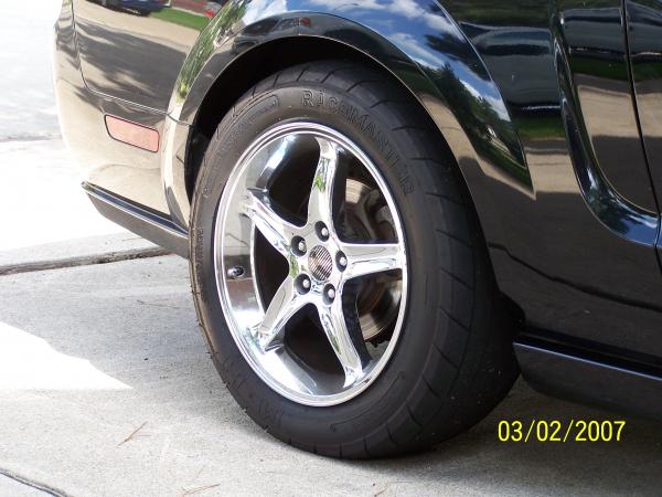 Steeda rear