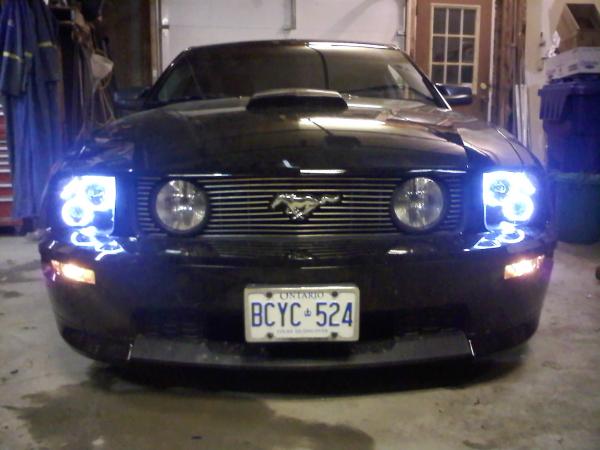 the new headlights