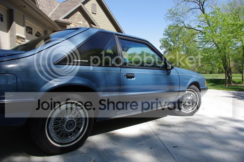 IMGP4942.jpg