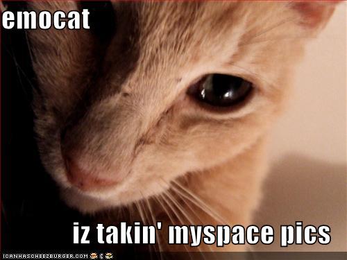 emo+cat+myspace.jpg