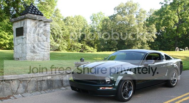 5551atCannonballsinFortDonelson.jpg
