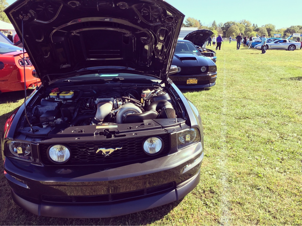 31f306aa42b4952bc93e4ab880415dfa.jpg