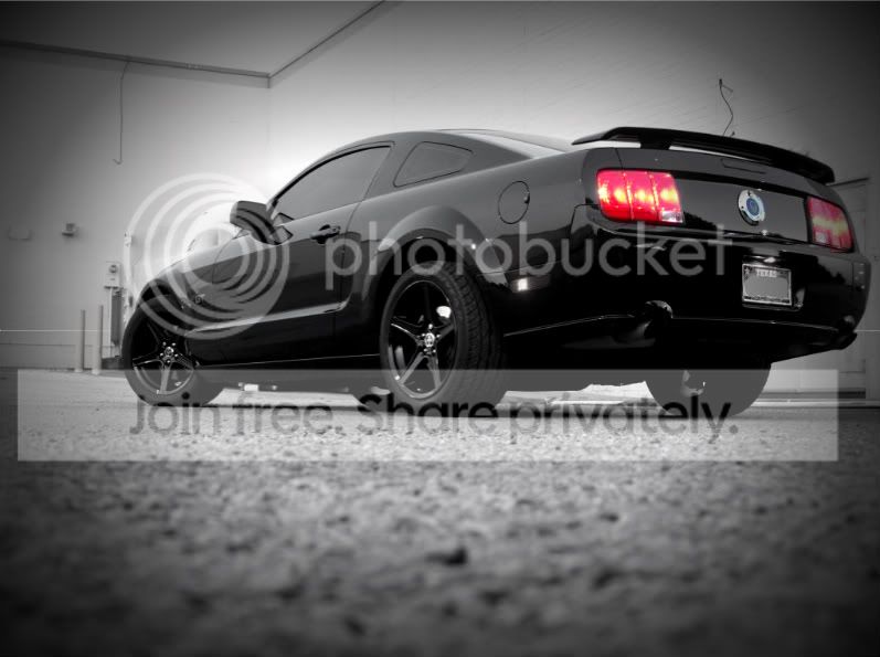 mystang103-1.jpg
