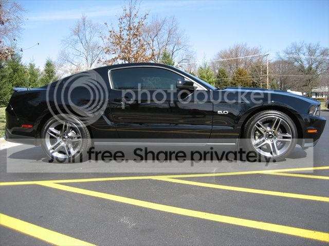 tint_small_012.jpg