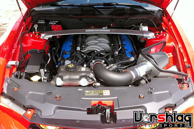 IMG3139-S.jpg