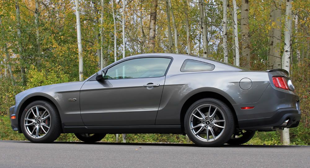 DerricksMustangweb1.jpg