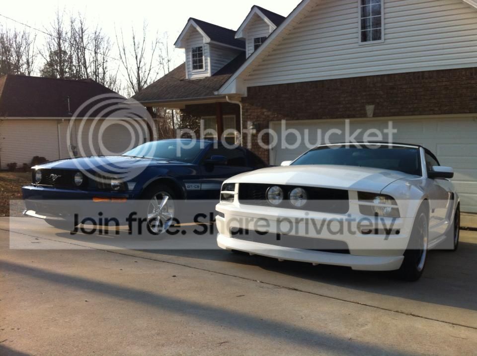 Stangs_zpsd527e9f8.jpg