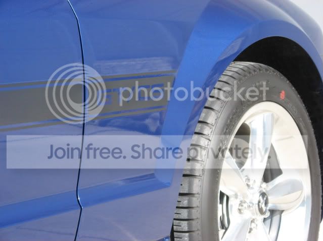 Mustang007.jpg