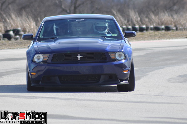 DSC_6364-M.jpg