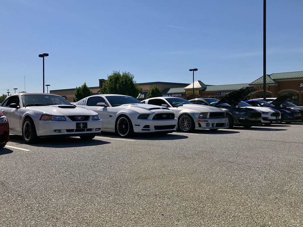 41649438940_882d2fb55f_b.jpg