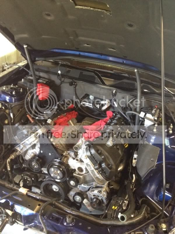 c635caf2.jpg