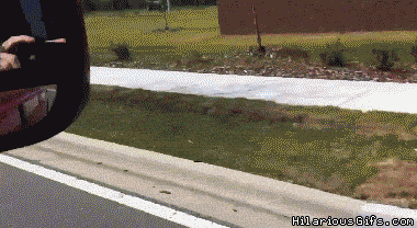 oKsKf.gif