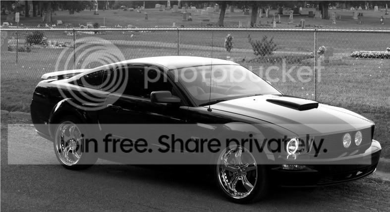 mystang049-1.jpg