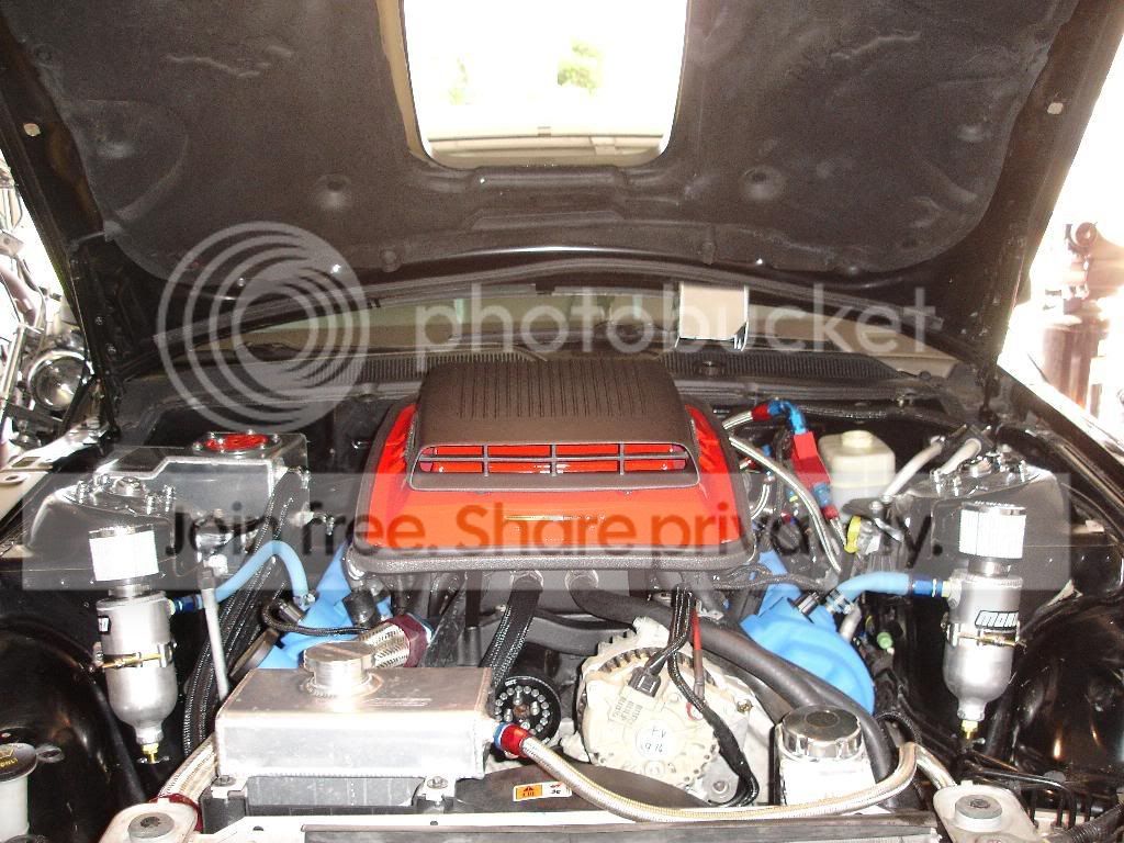 shaker6.jpg