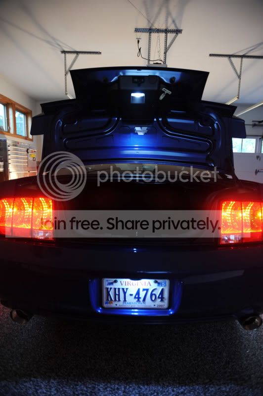 DSC_8993pb.jpg