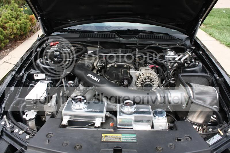 536_zps005dd36a.jpg