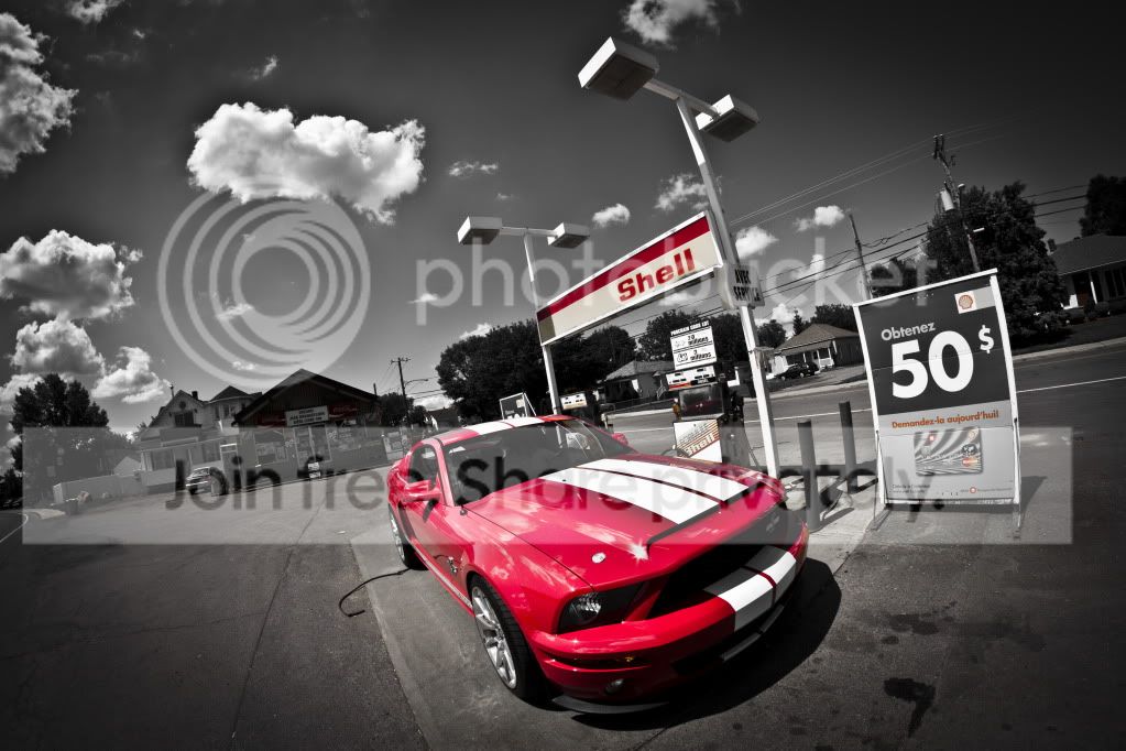 shootingphotomustang040.jpg