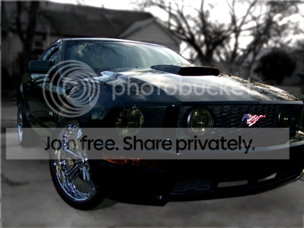 05gt263-1.jpg