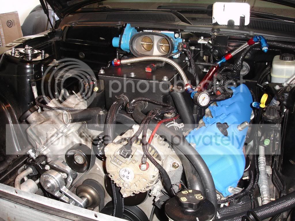 camcovers4.jpg
