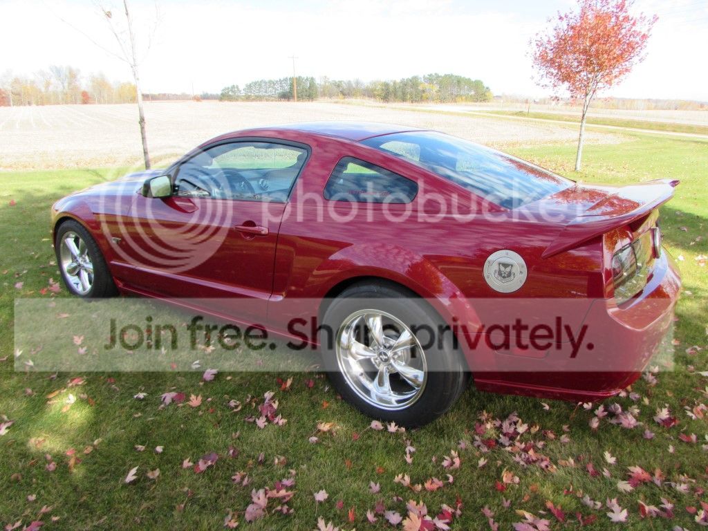 IMG_0026%20Medium_zpsmckf2bri.jpg