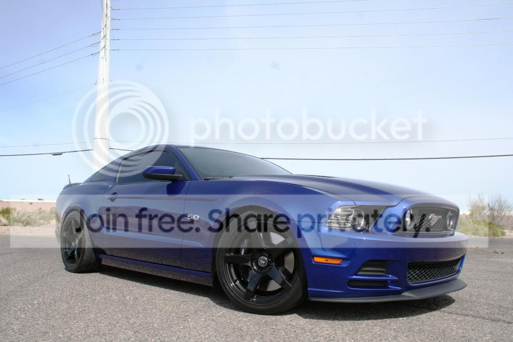IMG_3555_zps89551d1c.jpg