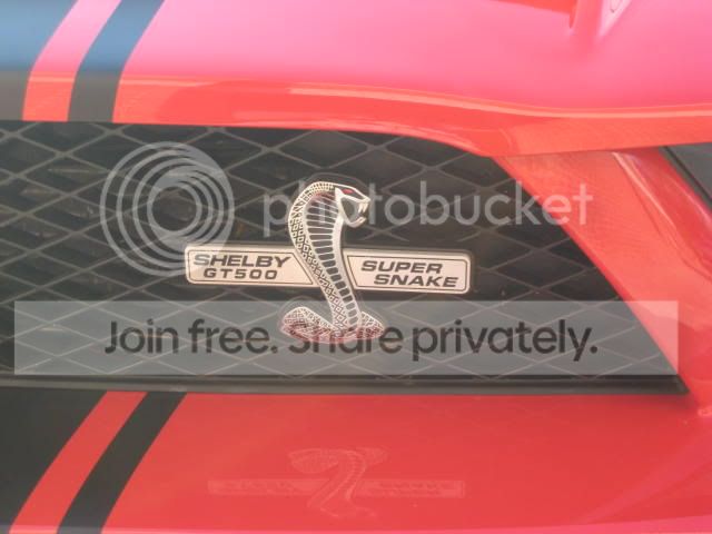 SuperSnake001.jpg