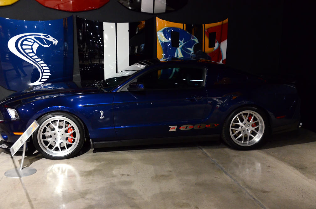 shelbymuse15.jpeg