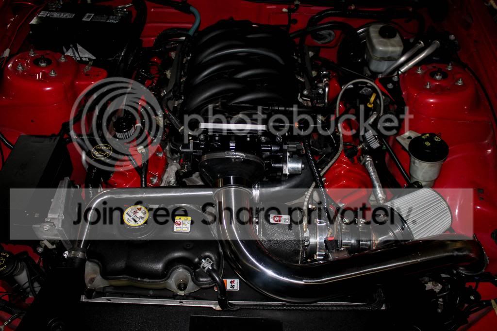 IMG_0773_zps6e83b41c.jpg
