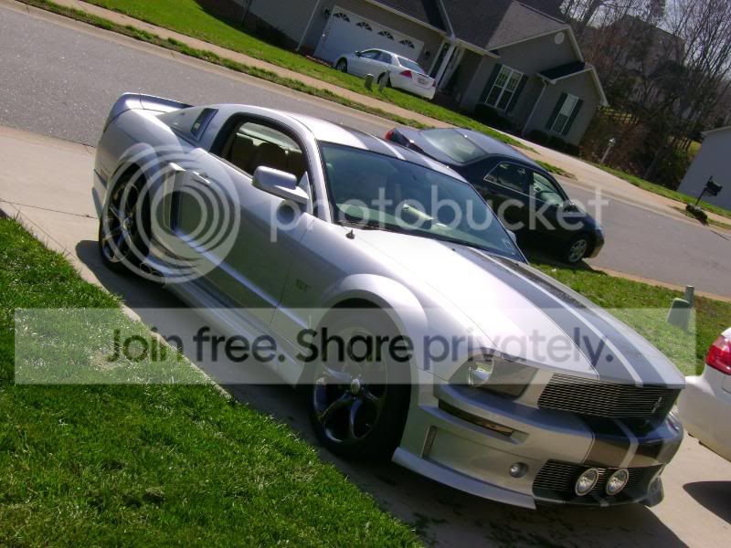 haydenscarinpaint051.jpg