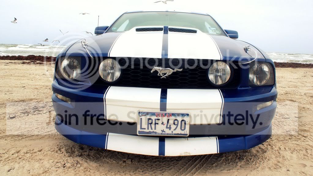 carrr.jpg