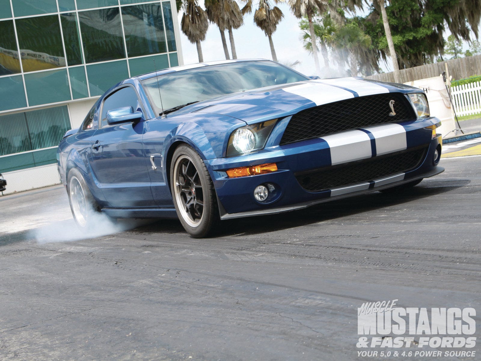www.motortrend.com