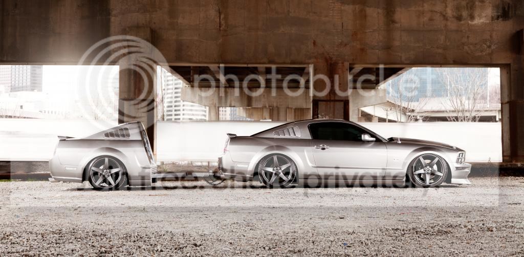 MJones_Mustang-7.jpg
