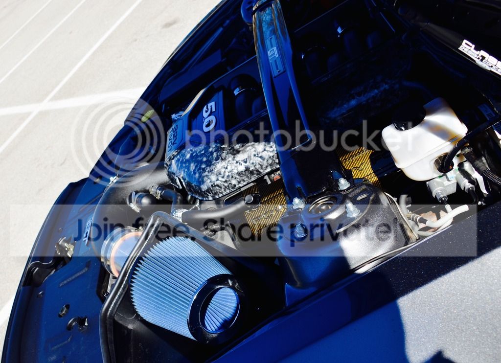 DSC_3346_zps6xl1spz5.jpg