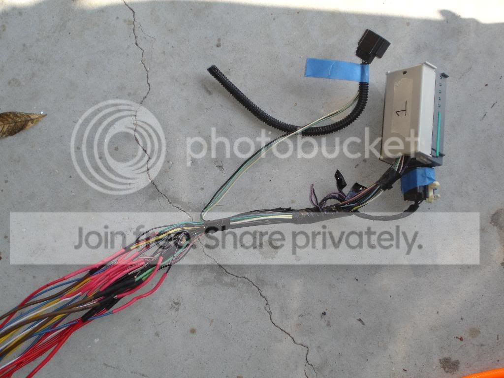wires19.jpg