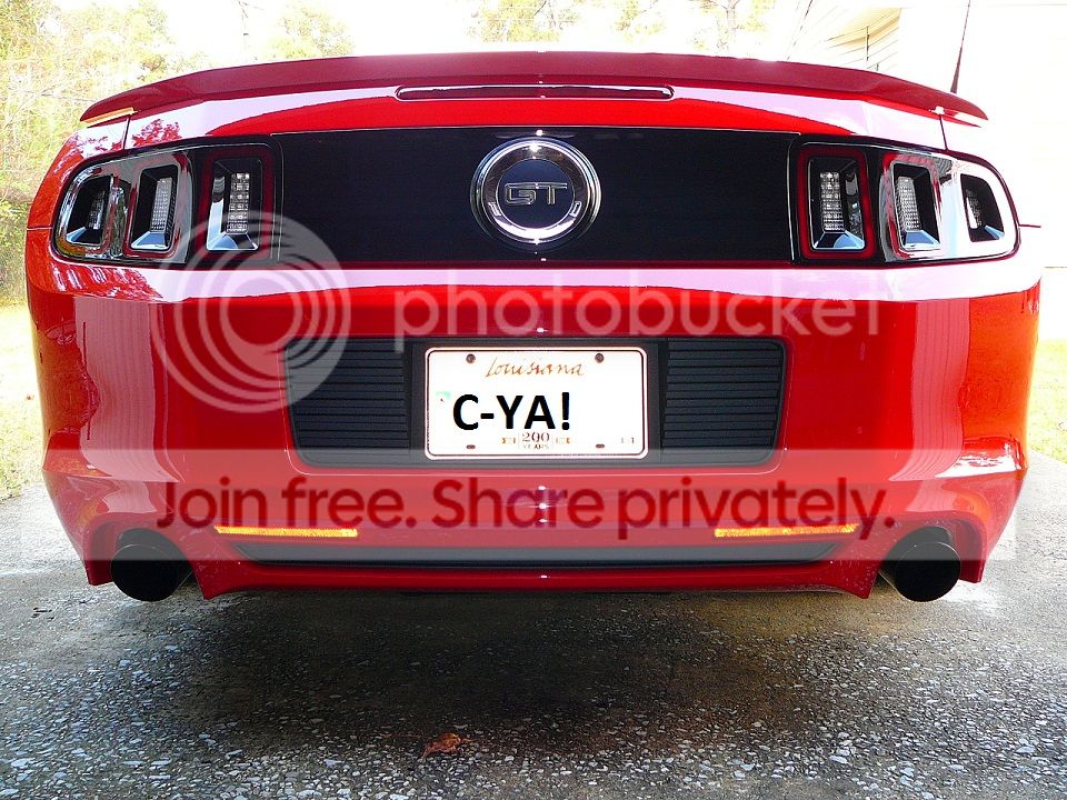 PIC1.jpg