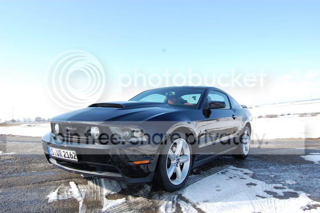 Mustang052.jpg