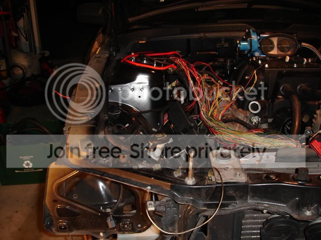 wires1-1.jpg