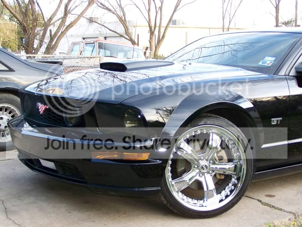 05gt251.jpg