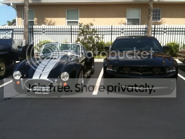MyCarandShelby.jpg