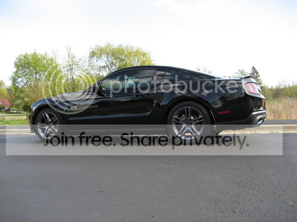 GTCS_Saleen_SVT006.jpg