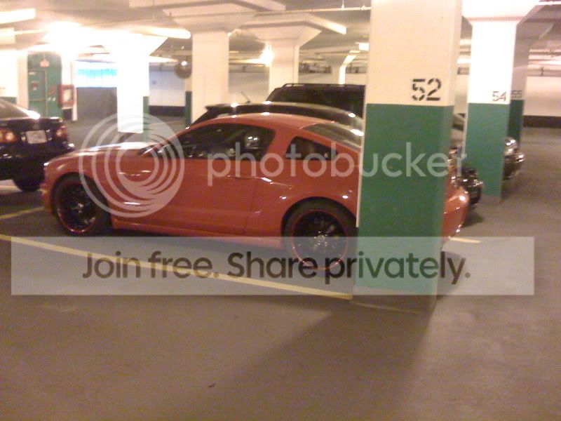 Picture123.jpg
