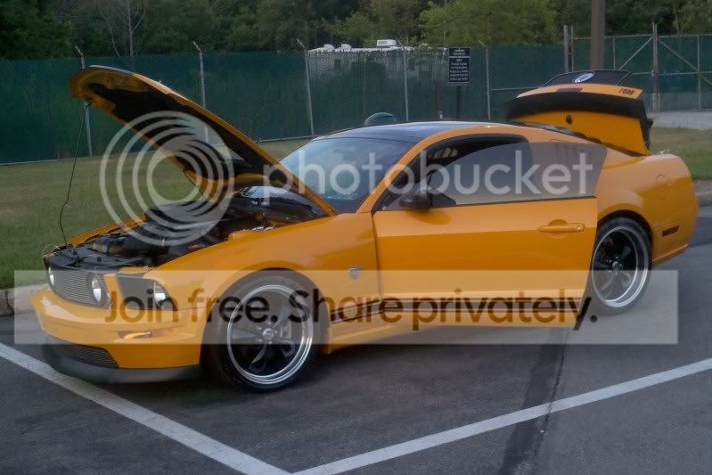 Mustang3.jpg