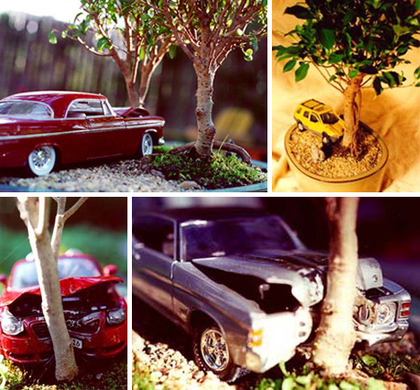 Crash-Bonsai-Cars.jpg