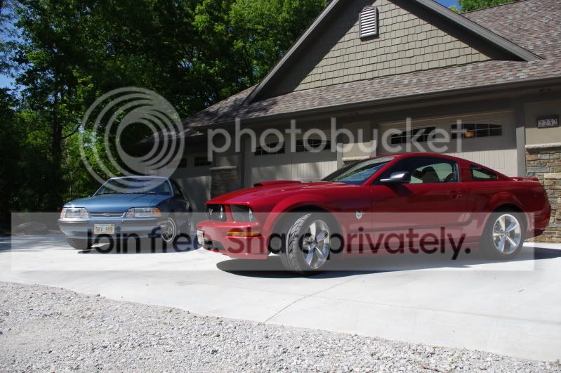 IMGP4938.jpg