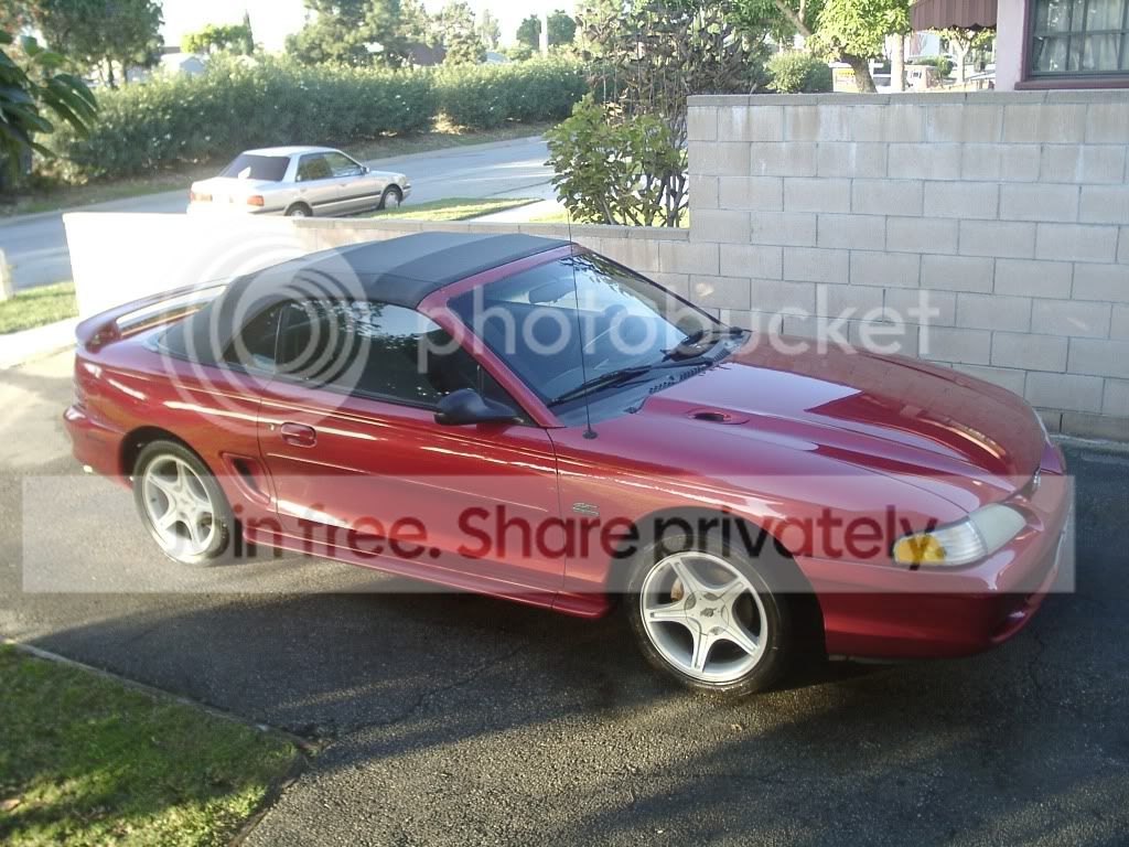 noveMbErSTANG001.jpg