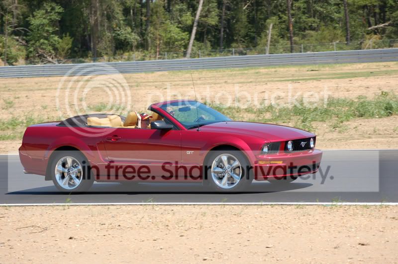 DSC_5867a.jpg